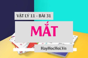 Cấu tạo của Mắt, điểm cực cận cực viễn của mắt là gì? Mắt cận, mắt viễn, mắt lão và cách khắc phục - Vật lý 11 bài 31